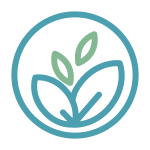 A circular design featuring a stylized plant with two green leaves within a teal border subtly symbolizes growth and renewal, much like the journey through therapy. The illustration merges natural and geometric elements, conveying calm, harmonious progress.